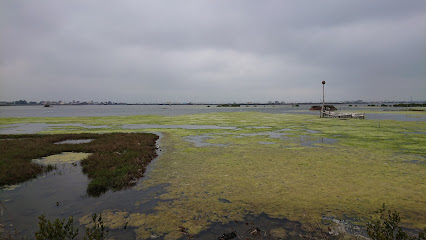 成龍溼地
