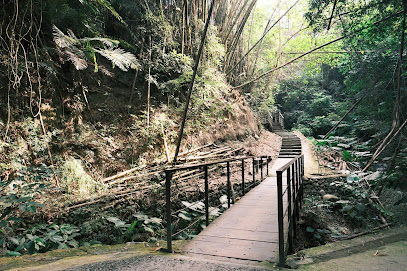 林內龍過脈森林步道