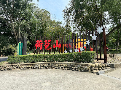 古坑荷苞山桐花公園