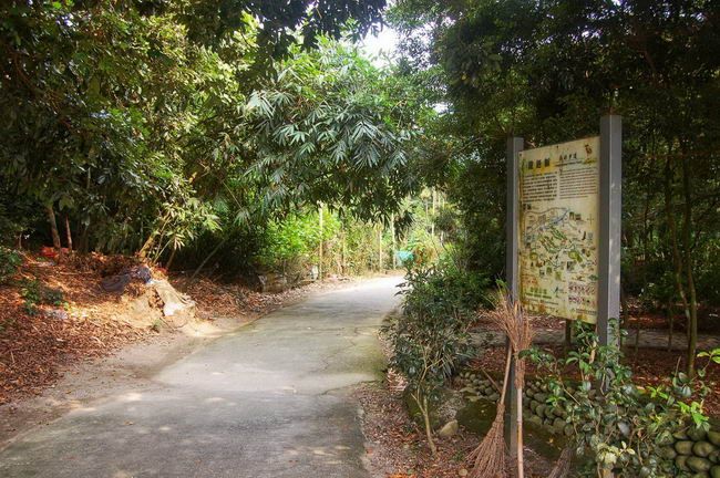 龍過脈森林步道
